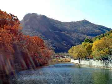 管家婆黑白马报图库，山东圣奥